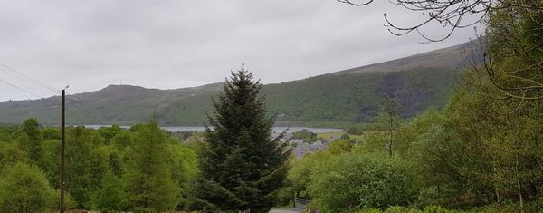 Blue Whale Media take on Snowdon for the second year in a row - Warrington Chamber of Commerce